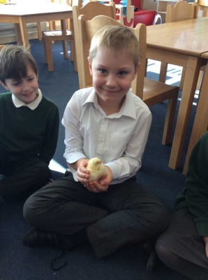 b2ap3_thumbnail_Chicks---3.png b2ap3_thumbnail_Chicks---3.png